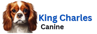 King Charles Canine