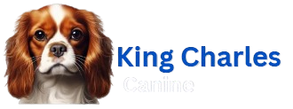 King Charles Canine